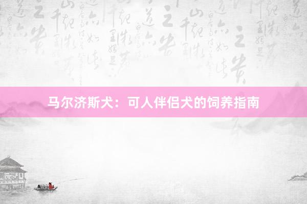 马尔济斯犬：可人伴侣犬的饲养指南
