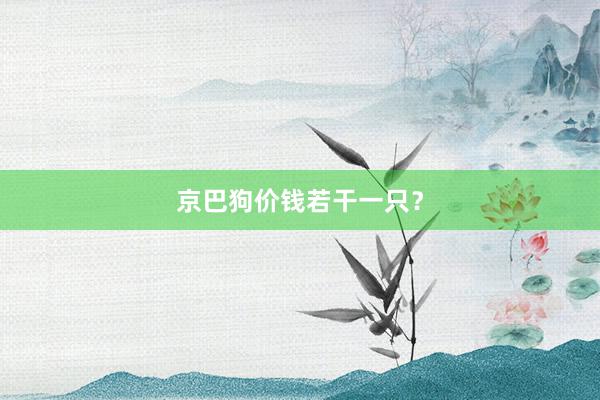 京巴狗价钱若干一只？