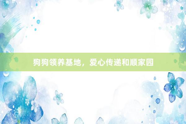 狗狗领养基地，爱心传递和顺家园