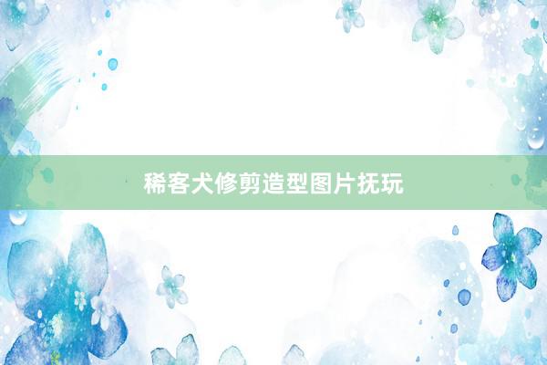 稀客犬修剪造型图片抚玩