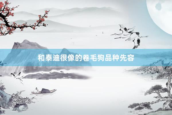 和泰迪很像的卷毛狗品种先容